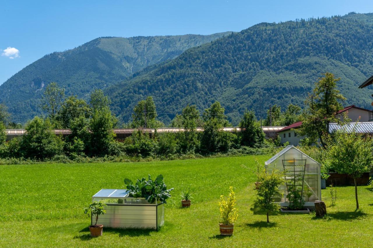 Fruehstueckspension Haus Ahamer Hotel Ebensee Kültér fotó